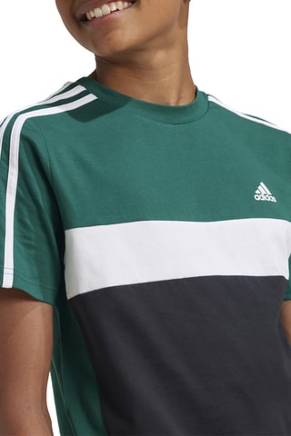 T-shirt Tiberio - Vert foncé