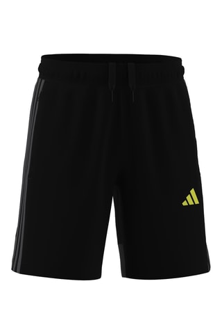 Short Essentials - Noir et gris