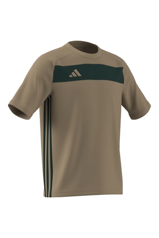 Maillot de football Tiro 25 Essentials - Kaki