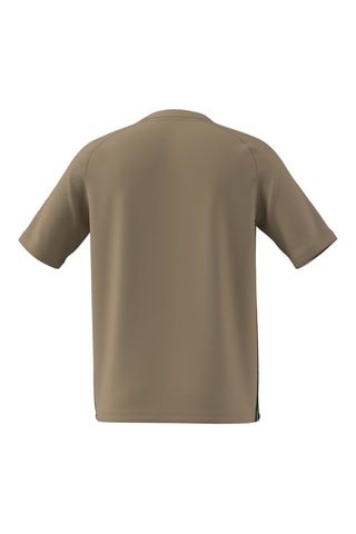 Maillot de football Tiro 25 Essentials - Kaki