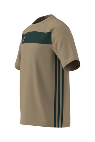 Maillot de football Tiro 25 Essentials - Kaki