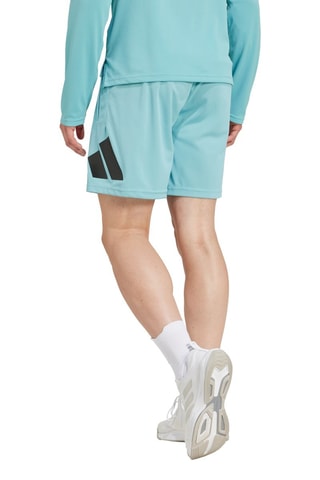 Short regular d’entrainement Essentials - Vert d’eau