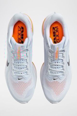 Nike Pegasus Premium - Gris clair