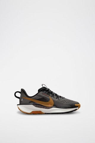 Nike Pegasus Trail 5 - Noir