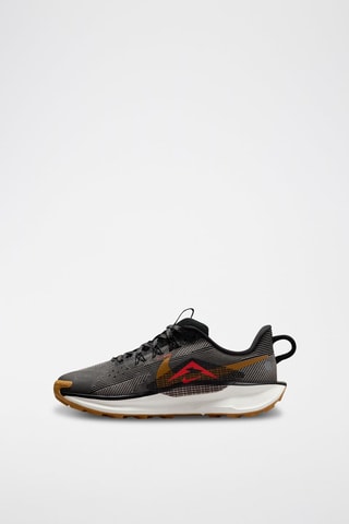 Nike Pegasus Trail 5 - Noir