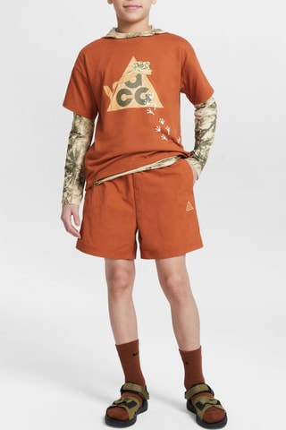 Camiseta Nike AGG - Marrón