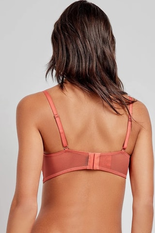 Reggiseno - Marrone