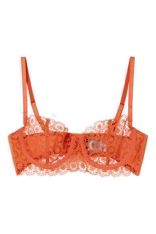 Reggiseno - Marrone