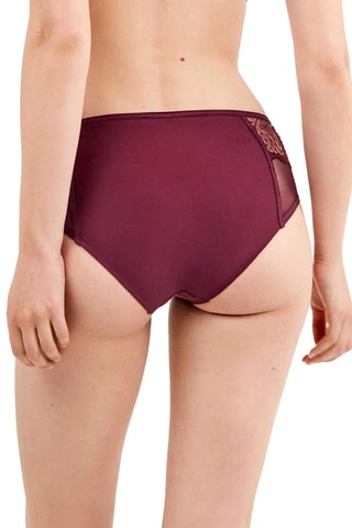 Slip Intimates - Viola