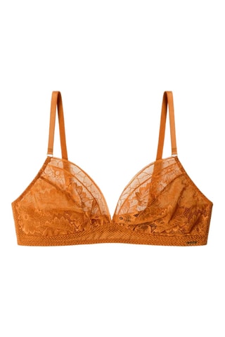 Reggiseno - Marrone