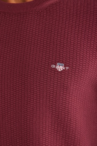 Maglia - Bordeaux
