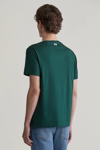 T-shirt - Verde e bordeaux