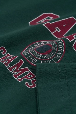 T-shirt - Verde e bordeaux