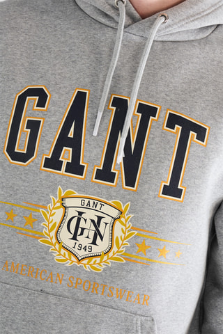 Felpa con cappuccio - Grigio