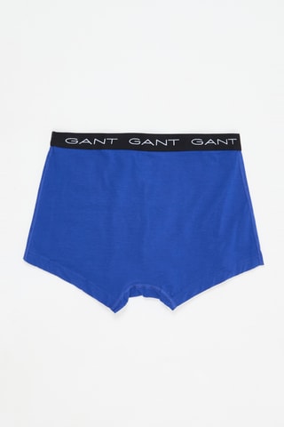 4 parigamba - Multicolore