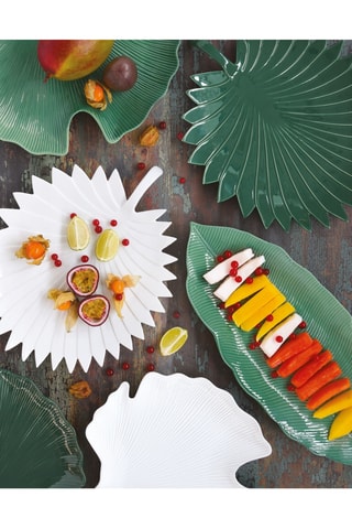 Fuente de porcelana Madagascar - 39 × 16 cm