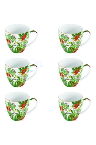 6 tazas de porcelana Exotica - 32 cl