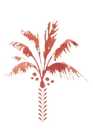 6 boles de porcelana Exotic Vibes - 12 cm