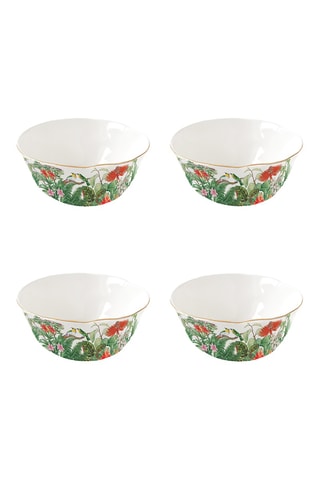 4 boles de porcelana Exotica - 16 cm