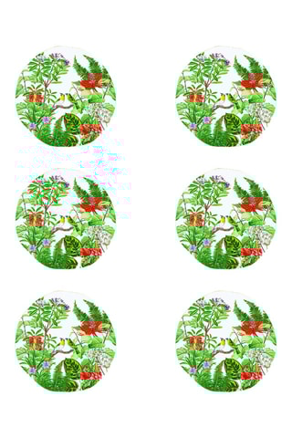 6 platos de postre de porcelana Exotica - 16 cm