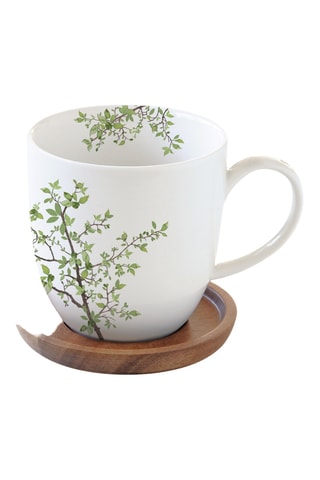 Taza y platillo de porcelana y madera de acacia Natura
