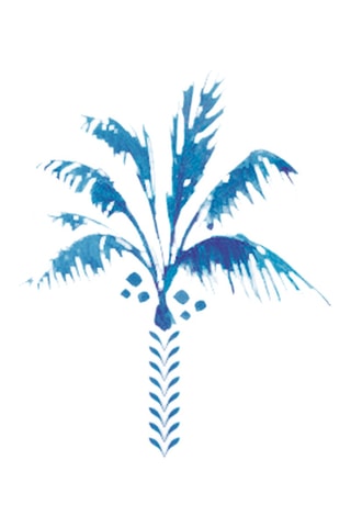 6 boles de porcelana Exotic Vibes - 12 cm