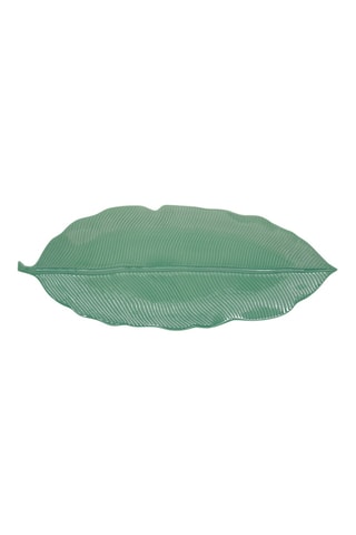 Fuente de porcelana Madagascar - 47 x 19 cm