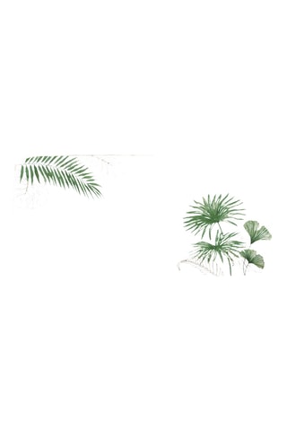 Bandeja de porcelana Exotique - 37 x 17 cm