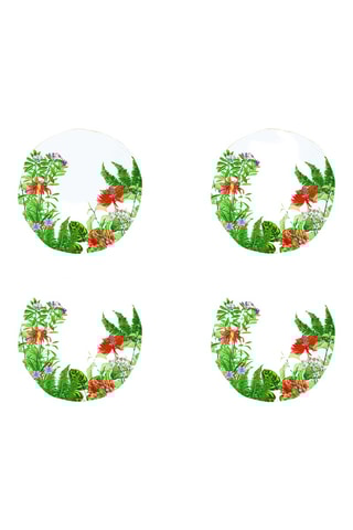 4 platos llanos de porcelana Exotica - 26 cm