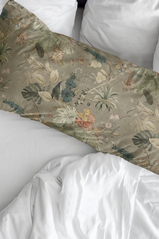 Fronha em percal de algodão 79 fios/cm² Aspe - Caqui