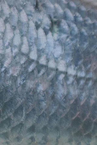 Toalha de mesa em resina anti-nódoas retangular Calella - Azul-marinho