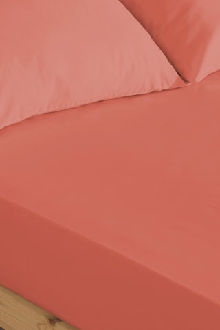 Lençol-capa em percal de algodão 200 fios/cm² Lisa - Coral