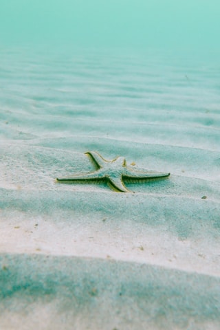 Colcha Vera - Verde-claro