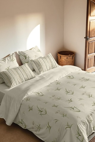 Conjunto de edredão em percal de algodão 200 fios/cm² Chelva - Verde-escuro