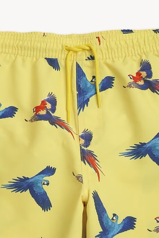 Short de bain - Jaune