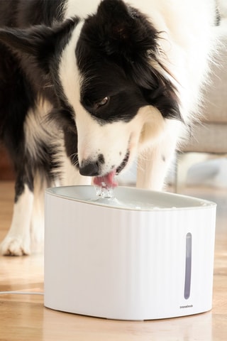 Fontaine à eau - 
3 l