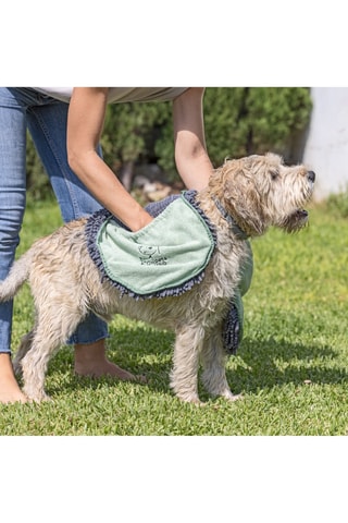 Serviette pour chien - Vert d’eau et gris foncé