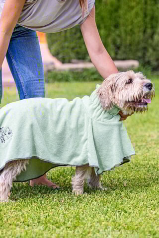 Serviette pour chien - Vert clair
