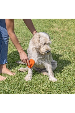 Brosse pour chien - 10 x 5 x 15,5 cm