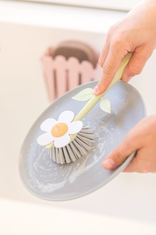 Brosse à vaisselle et éponge