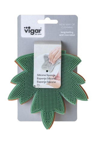 2 éponges à poils en silicone