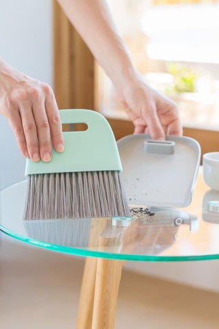 Pelle à poussière et mini balayette