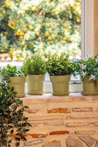 4 pots et 4 soucoupes en farine de bambou - Vert