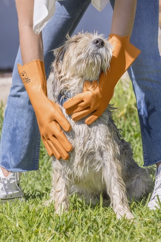 Gants pour chien - Orange