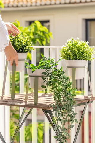 3 supports pour plantes en farine de bambou - Vert et gris