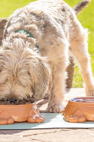 Gamelle - 25 x 26,5 x 8 cm