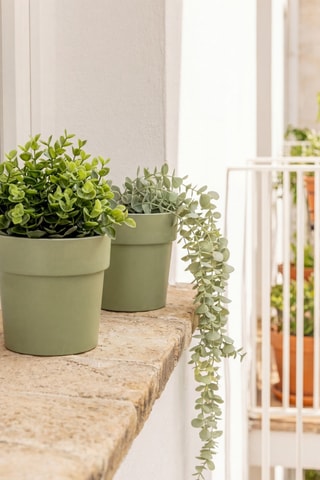 2 pots en farine de bambou - Vert