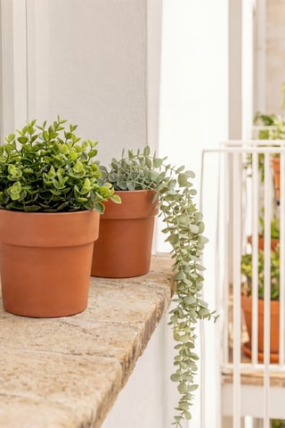 2 pots en farine de bambou - Marron