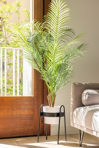 Jardinière - 20,5 x 19 x 36 cm - Noir