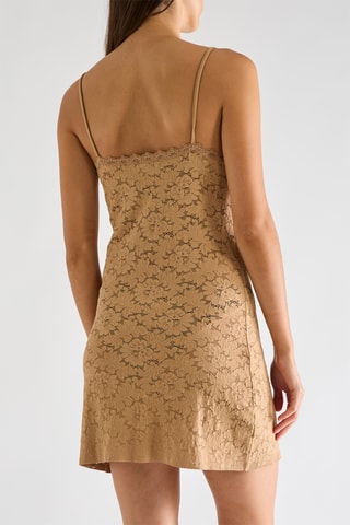 Abito taglio dritto in pizzo Jasun - Biscotto